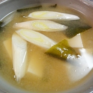 【今日の一汁】豆腐と長ねぎとわかめのお味噌汁